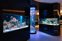 //rjrorwxhpjinlo5p.ldycdn.com/cloud/pjBpiKnllqSRqlkikqplip/Custom-Acrylic-Aquarium-Design-Flexibility-Showcase.jpg