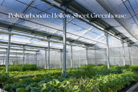 //rjrorwxhpjinlo5p.ldycdn.com/cloud/poBpiKnllqSRqlokjlpqip/Modern-Greenhouse-With-Polycarbonate-Roof.jpg